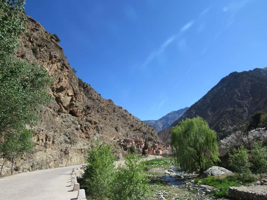 Ourika valley & atlas mountains guided tour from Marrakech - The Ourika Valley hike: 1.5 hours to the waterfalls with a real local guide
