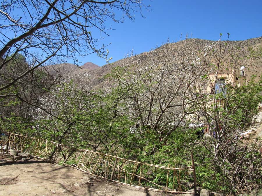 Ourika valley & atlas mountains guided tour from Marrakech - Lunch by the river: what to expect, and how to plan for it