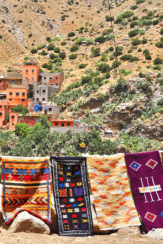 Ourika Valley, Atlas Mountains, Waterfalls & Guided Tour - Ourika Valley villages, tea, and the working view of terraces
