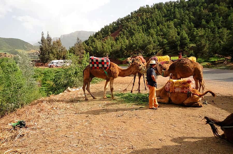 Ourika Valley, Atlas Mountains, Waterfalls & Guided Tour - Setti Fatma waterfalls: the cool reward and the stair reality