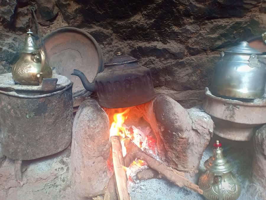 Ourika Valley ,Berber villages ,Atlas Mountains + Lunch - Ourika Valley: tea, village life, and river views