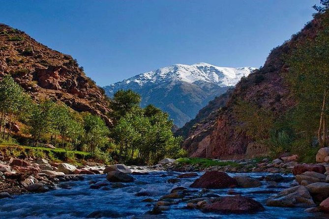 Ourika valley day trip - Marrakech to Ourika Valley: Why this day trip feels like a real reset