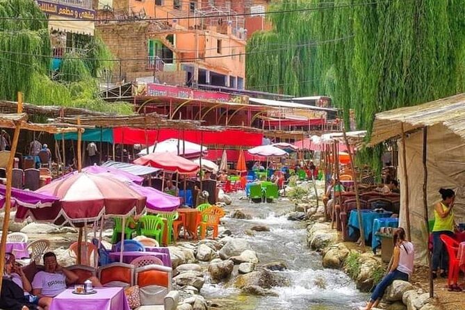 Ourika Valley Day Trip From Marrakech - Ourika Valley Marrakech - Argan Shopping, Ourika Market Stops, and Return Photo Times