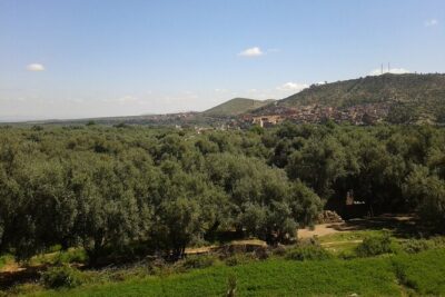 Ourika Valley Day trip Marrakech Morocco