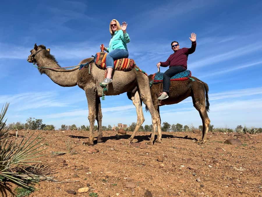 Ourika Valley Private Trip: Lunch, Guide, & Camel Ride - Should you book this Ourika Valley private trip?