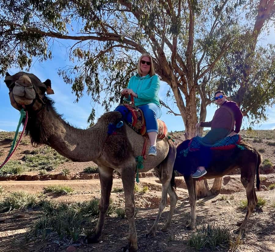 Ourika Valley Private Trip: Lunch, Guide, & Camel Ride - What the guide adds, and where you should set expectations