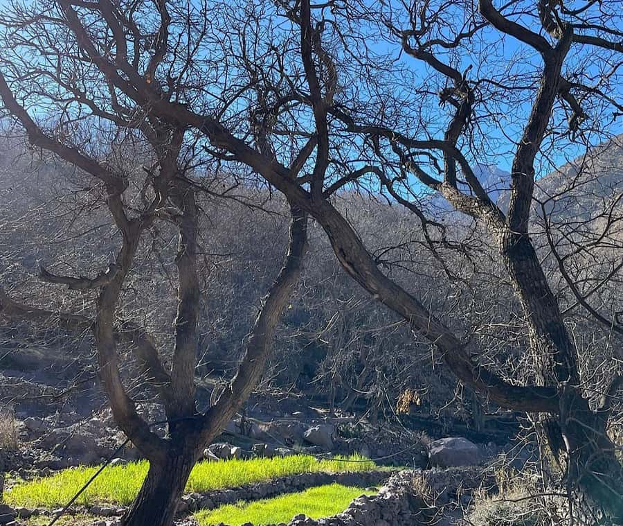 Ourika Valley: Quad Biking,Camel Riding,and Hiking Adventure - Why Ourika Valley Feels Like a Real Escape From Marrakech