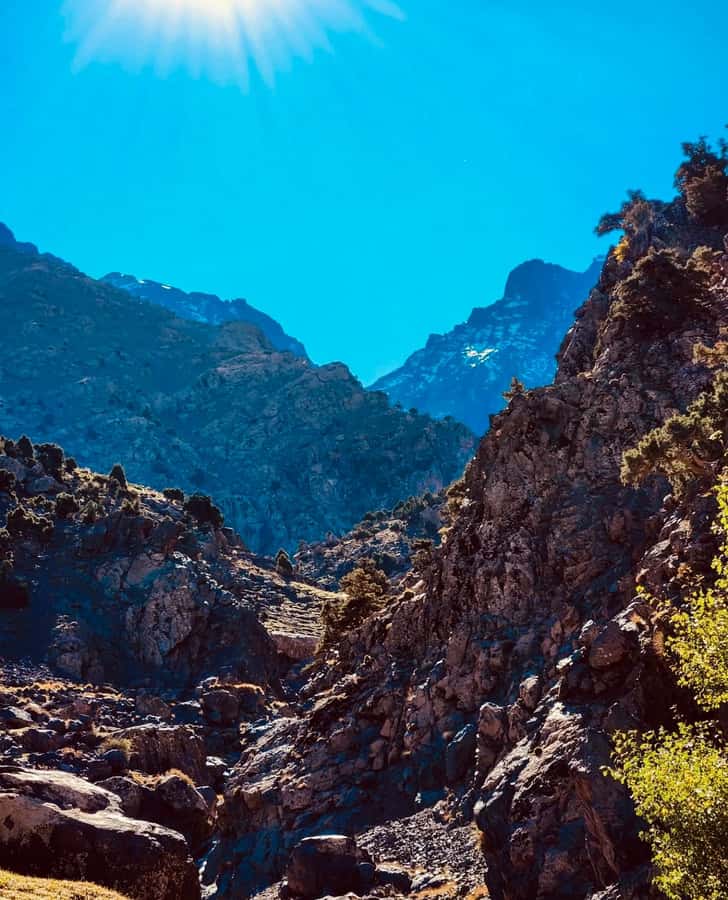 Ourika Valley: Quad Biking,Camel Riding,and Hiking Adventure - Lunch by the River: Good Setting, Extra Budget