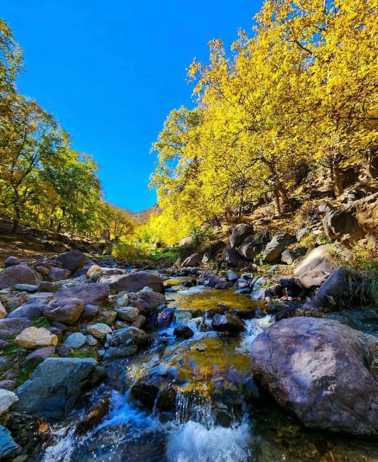 Ourika Valley: Quad Biking,Camel Riding,and Hiking Adventure - Price and Value: Is $45 Realistic for an 8-Hour Mix?