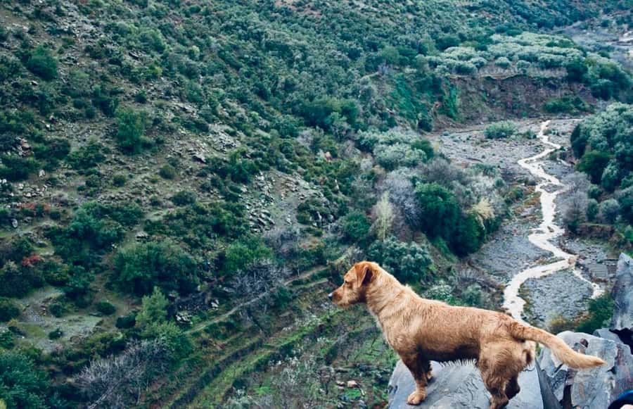 Ourika Valley: Quad Biking,Camel Riding,and Hiking Adventure - Who Should Book This Ourika Adventure (and Who Should Skip It)