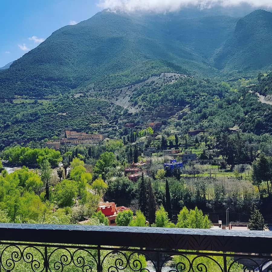 Ourika Valley Waterfalls Day Trip From Marrakech - Should you book this day trip or look elsewhere?