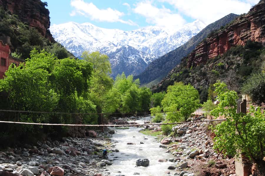 Ourika Valley with Atlas Mountains Day Trip from Marrakech - Key highlights at a glance