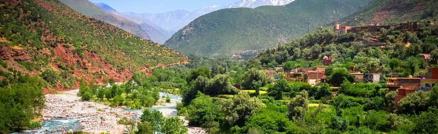 Ourika Valley with Atlas Mountains Day Trip from Marrakech - Berber market morning: what you actually see and why it matters