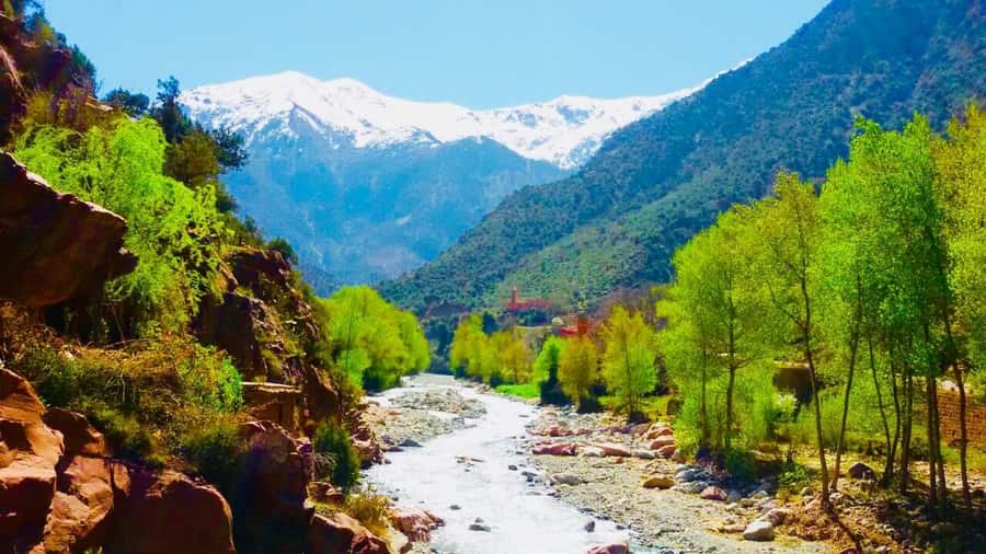 Ourika Valley with Atlas Mountains Day Trip from Marrakech - Lunch by the stream: tagine, cafés, and choosing your own pace