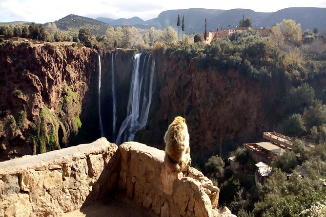 Ouzoud Waterfalls Full Day Trip From Marrakech - Stop 2: The Ouzoud Walk, Photos, and the Boat Decision