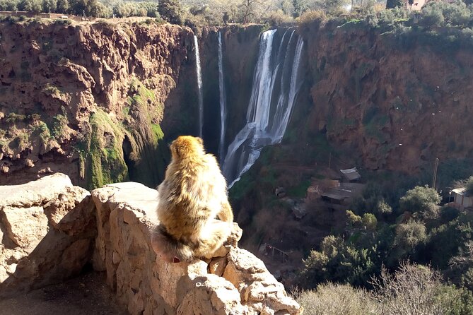 Ouzoud Waterfalls Full Day Trip From Marrakech - Stop 3: Tamlalte Coffee Break on the Way Back
