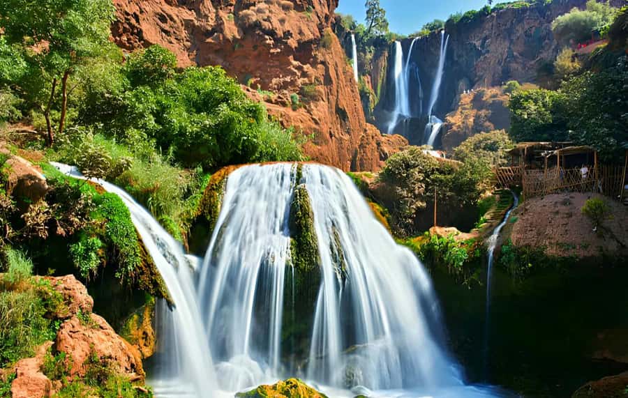 Ouzoud Waterfalls: Majestic Guided Hike and Adventure - Olive groves and the argan oil co-operative stop that connects nature to daily life