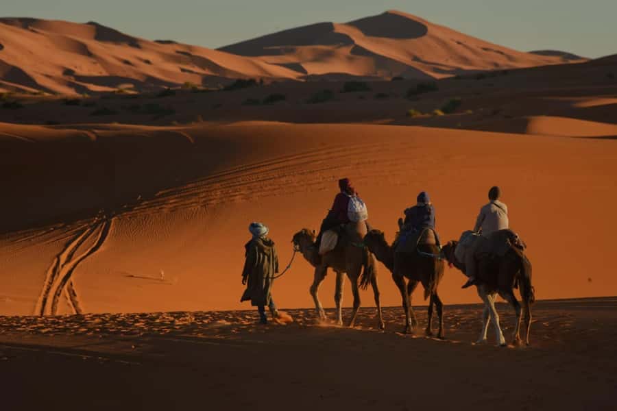 Overnight in Luxury Tent in Desert Camp Erg Chebbi Merzouga - Dinner, stargazing, and how the night really works