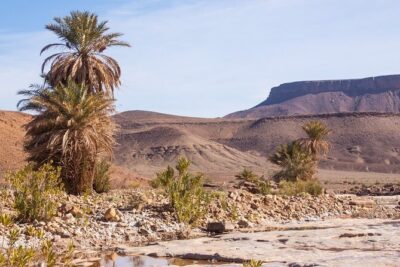 Overnight Sahara Tour from Marrakech to Mhamid
