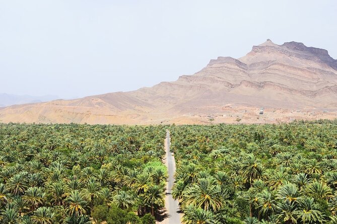 Overnight Sahara Tour from Marrakech to Mhamid - Ouarzazate: Film-Set Detours and Optional Cinema Stops