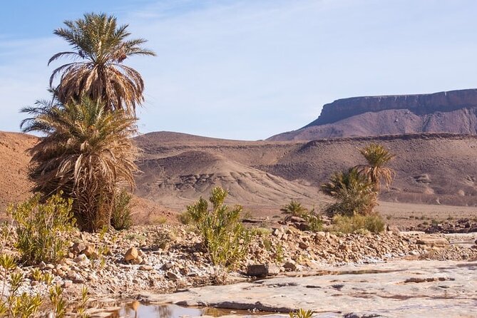 Overnight Sahara Tour from Marrakech to Mhamid - 8:00 am Pickup, then High Atlas Road Views on Tizi NTichka