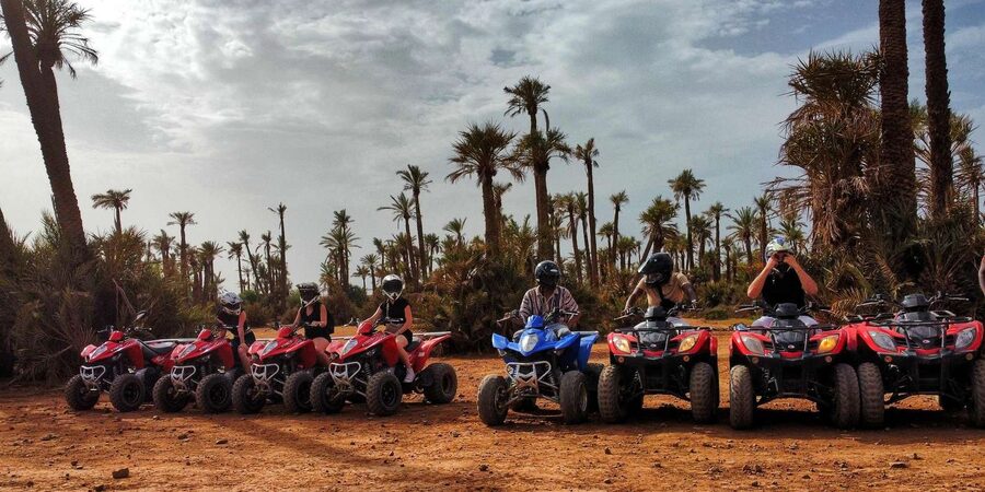 Palmeraie Marrakech Camel Ride & Quad Bike Package Exprience - Who this Palmeraie adventure suits best