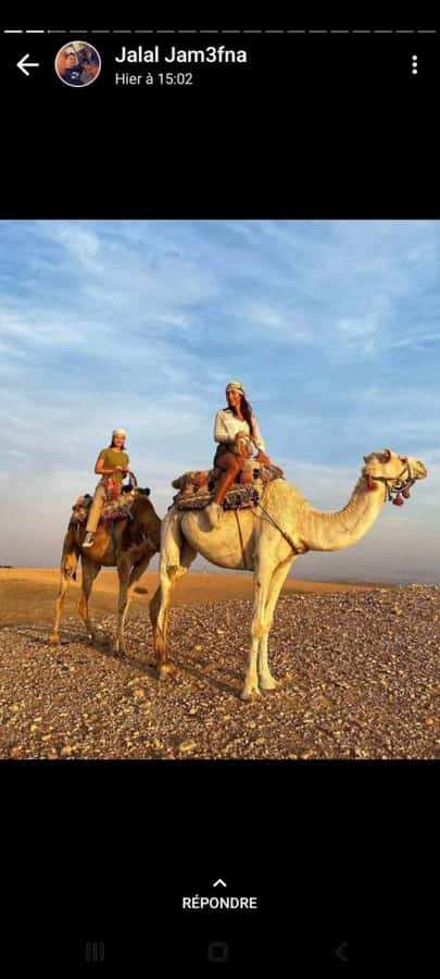 Palmeraie Marrakech Camel Ride & Quad Bike Package Exprience - Marrakech Palmeraie quad and camel, what it gets right