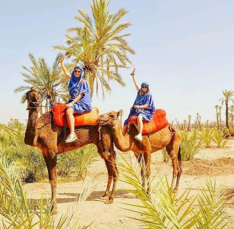 Palmeraie Marrakech Camel Ride & Quad Bike Package Exprience - Getting picked up and reaching the quad base without wasting your time