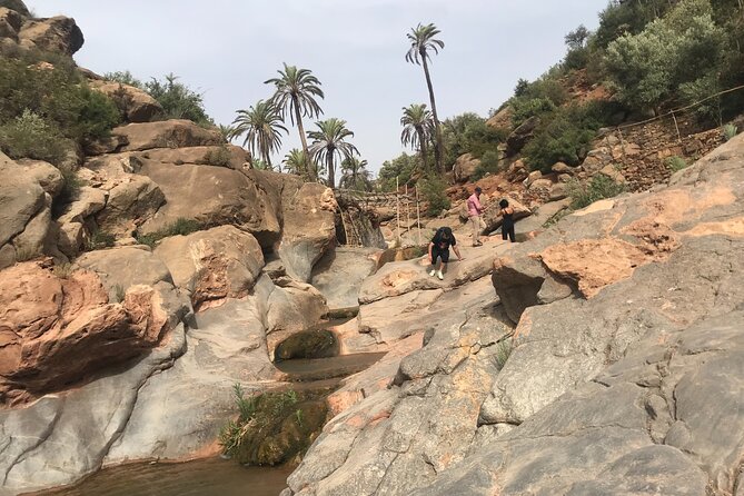 Paradise valley agadir half day tour - The tea ceremony, more than a cute add-on