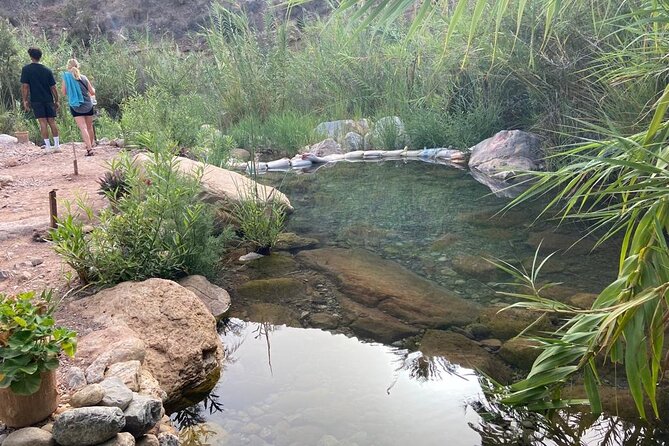 Paradise Valley and Atlas Mountains Adventure in Agadir - The botanical garden stop: mint tea, honey, and a local flavor break