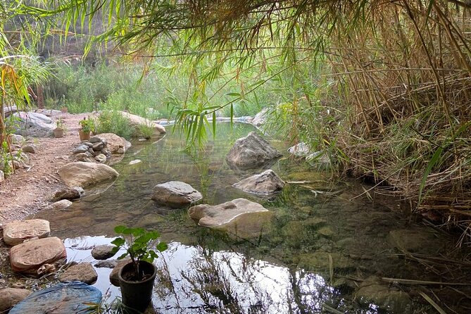 Paradise Valley and Atlas Mountains Adventure in Agadir - Mohamed and the guide style that makes the day smoother