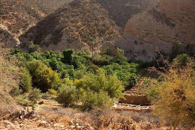 Paradise Valley and Camel Ride at Sunset Pass - How much free time you get back in Agadir