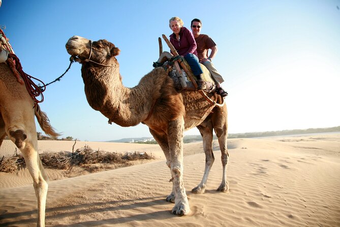 Paradise Valley and Camel Ride at Sunset Pass - Who should book this Paradise Valley and camel ride day