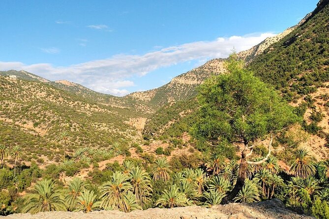 Paradise Valley & Atlas Mountains Adventure with optional LUNCH - Why this Paradise Valley day trip feels worth your time