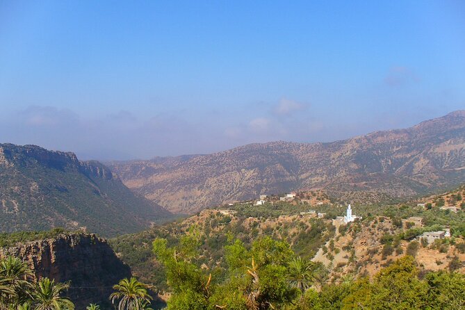 Paradise Valley & Atlas Mountains Adventure with optional LUNCH - Argan oil education on the drive: the small detail that makes it memorable