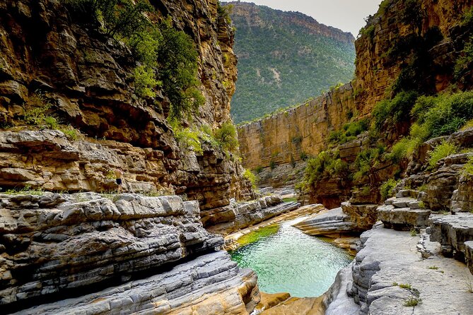 Paradise Valley day trip from Agadir - Atlas Mountains viewpoint time: the drive becomes part of the experience