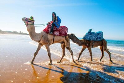 Paradise Valley & Desert Dunes with Camel Ride and quad bike