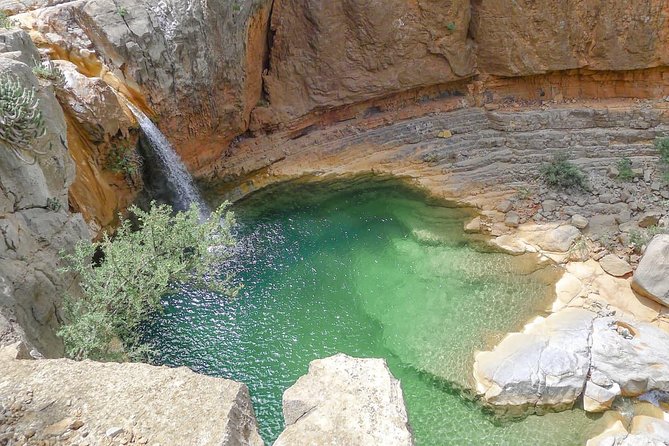 Paradise valley excursion - Arriving at Paradise Valley: wadi pools and a palm-grove setting