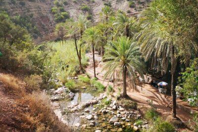 Paradise Valley Half day Experience