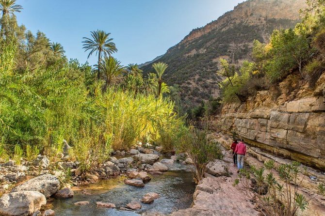 Paradise Valley Half day Experience - What’s Included, What Isn’t, and How to Plan Your Day