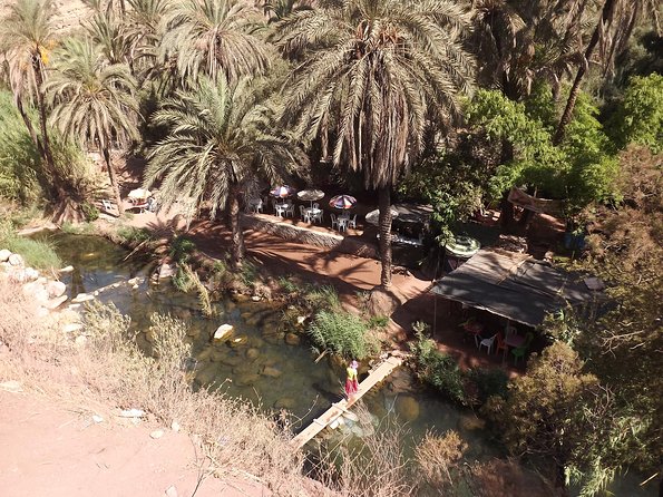 Paradise valley half day from Agadir - Tamzargout oasis photo stop: quick views, best ways to capture them