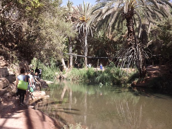 Paradise valley half day from Agadir - Comfort, group size, and what “max 2 travelers” changes