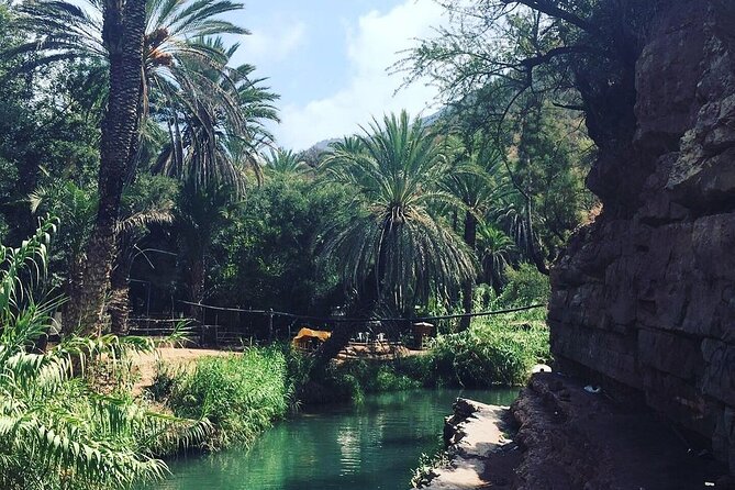 Paradise Valley & The Old Taghazout village Private Tour - Paradise Valley in Agadir: cool shade, river pools, and realistic expectations