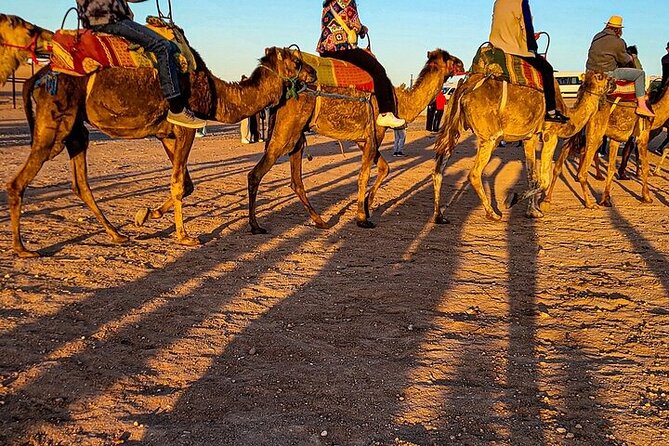 Premium Agafay Desert: Camel, Quad, Dinner & Fire Show - Sunset Camel and Quad Riding, Two Very Different Thrills