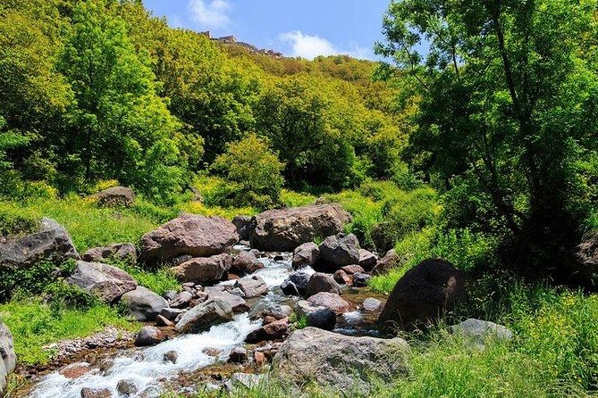 Premium Atlas Mountains & Berber Village Day Trip with Camel Ride - Key points if you want the Atlas Mountains, not a bus tour