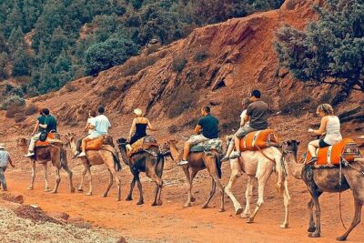 Premium Atlas Mountains & Berber Village Day Trip with Camel Ride