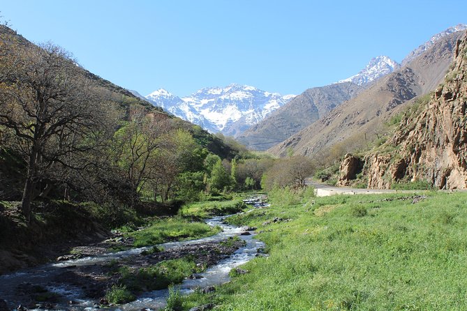 Premium Atlas Mountains & Berber Village Day Trip with Camel Ride - Price and logistics: why it feels like strong value