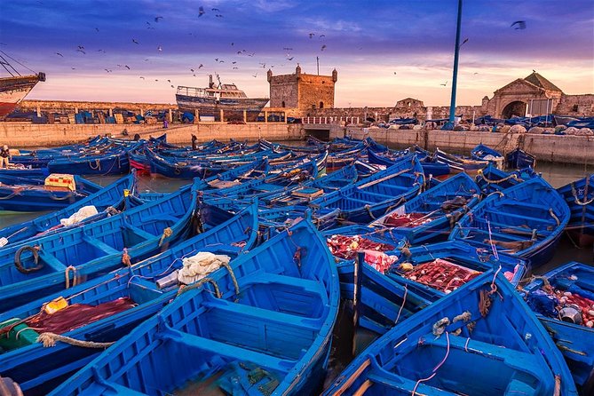 Premium Surf Trip to Essaouira from Marrakesh - Key highlights you should care about