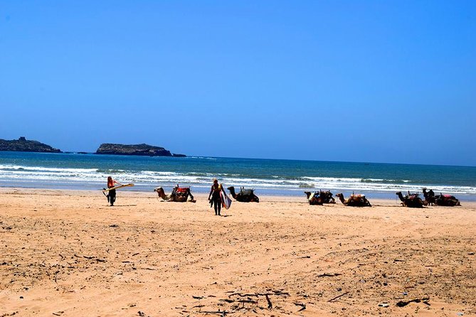 Premium Surf Trip to Essaouira from Marrakesh - Marrakech to Essaouira: the day starts with pickup, then turns into a sea day