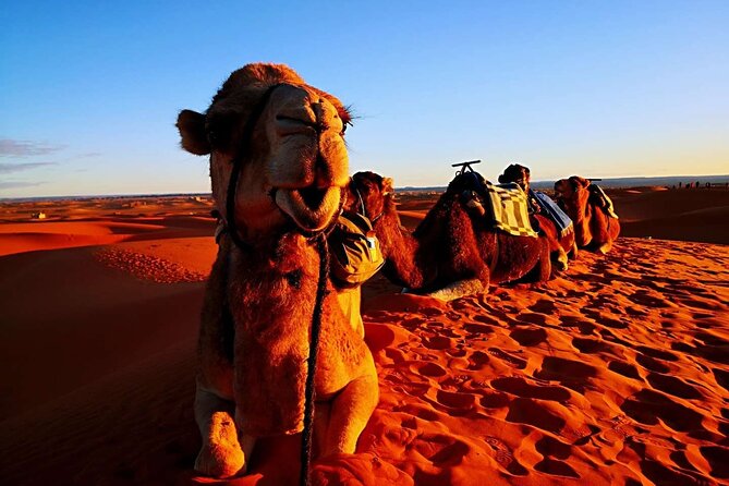 Private 3 Day Luxury Desert Tour from Fez to Marrakech - Luxury Desert Camping in Merzouga, Plus Dune Activity Options